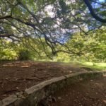 grounds