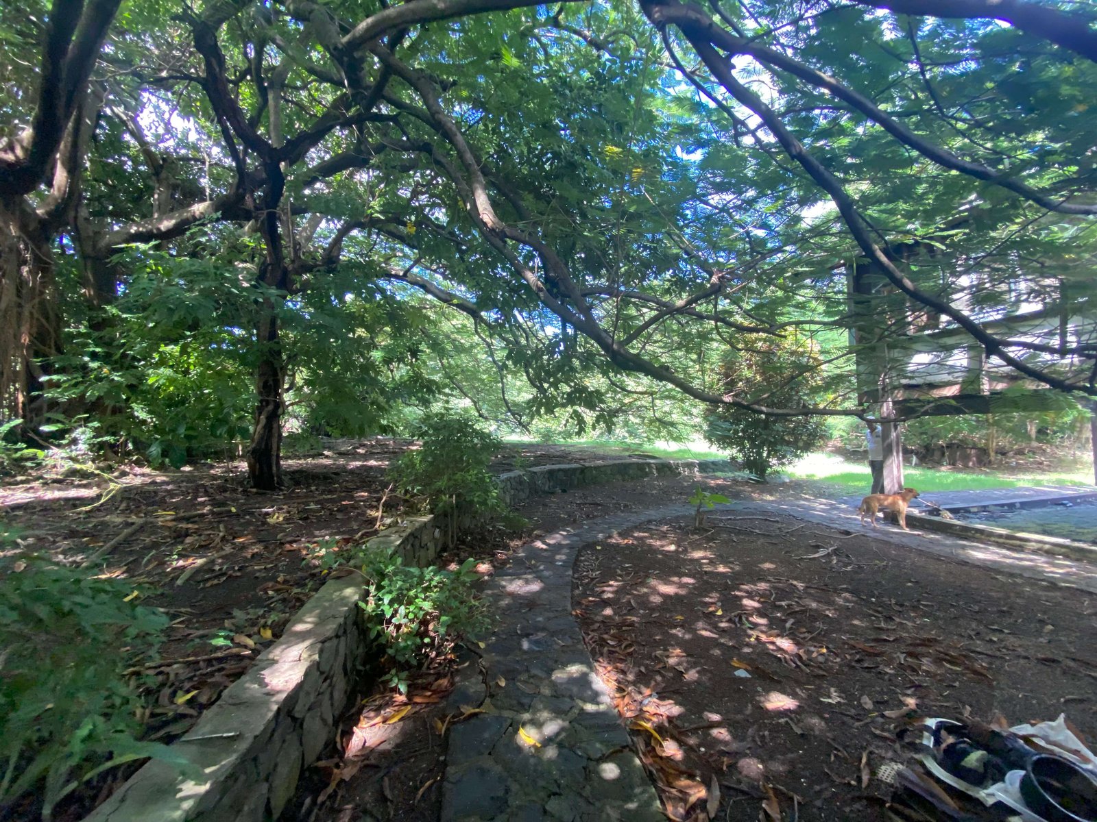 grounds
