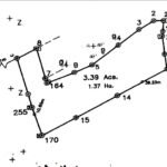 survey plan