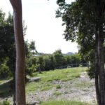 land